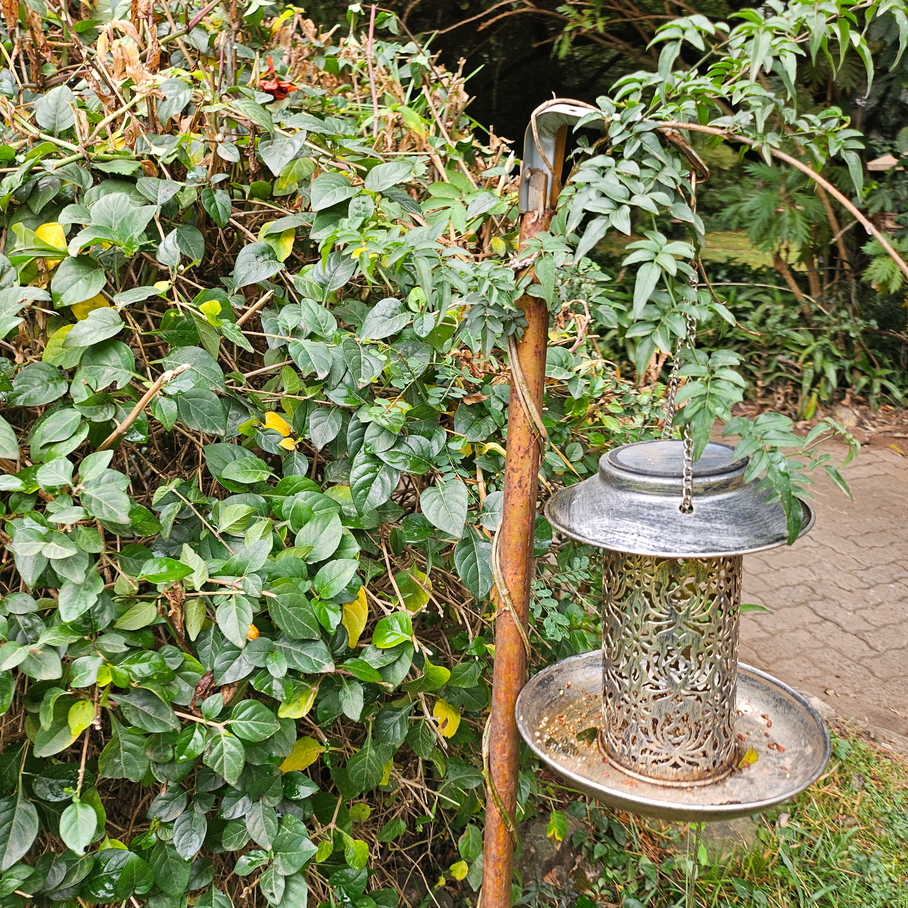Harrison House building - Ngong Avenue
